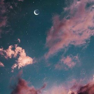 Meet your Posher, Bella